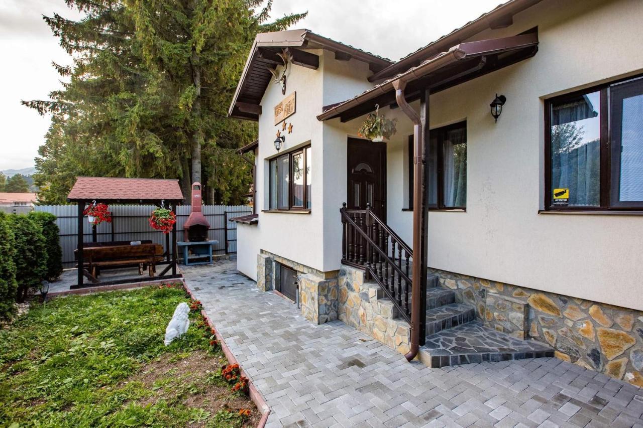 Casa Andy Hotell Buşteni Exteriör bild